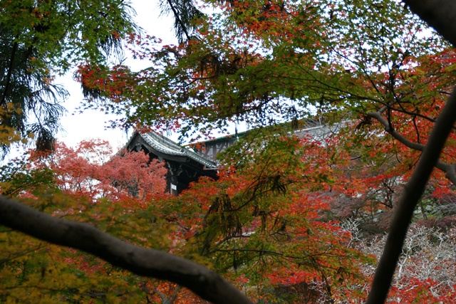 さすがです。紅葉も最高です。清水寺を訪ねました_d0181492_2143196.jpg
