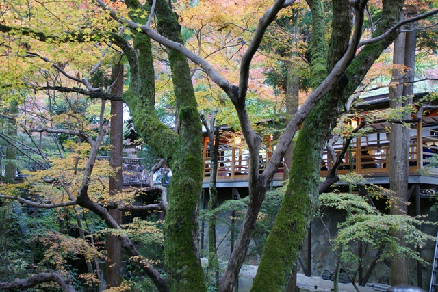 さすがです。紅葉も最高です。清水寺を訪ねました_d0181492_21433745.jpg
