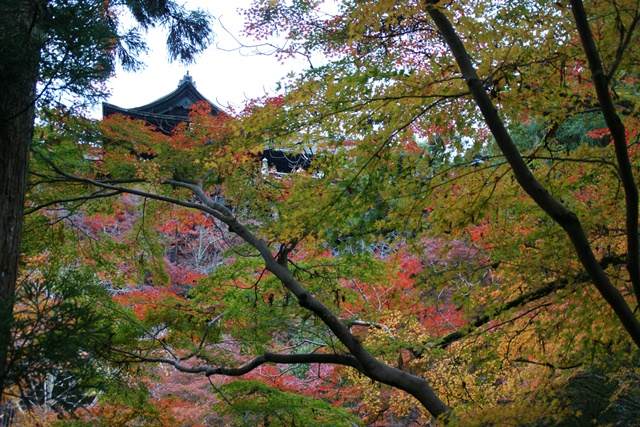 さすがです。紅葉も最高です。清水寺を訪ねました_d0181492_21435187.jpg