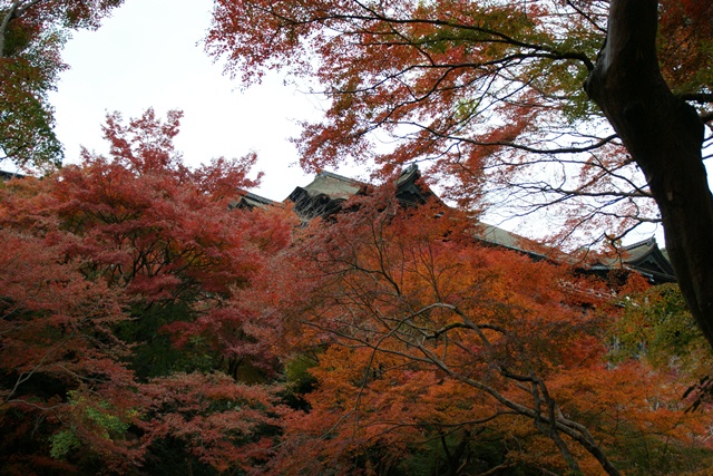 さすがです。紅葉も最高です。清水寺を訪ねました_d0181492_2144414.jpg