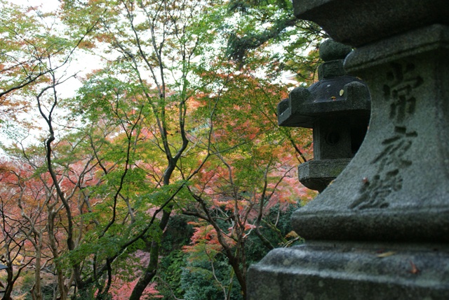 さすがです。紅葉も最高です。清水寺を訪ねました_d0181492_21445827.jpg