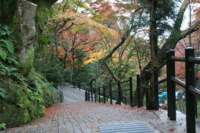 さすがです。紅葉も最高です。清水寺を訪ねました_d0181492_214730100.jpg