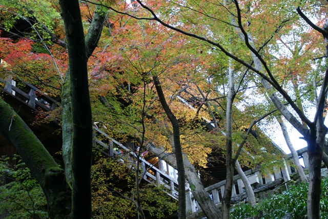 さすがです。紅葉も最高です。清水寺を訪ねました_d0181492_21493536.jpg