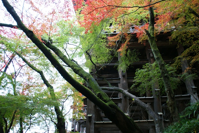 さすがです。紅葉も最高です。清水寺を訪ねました_d0181492_2151201.jpg