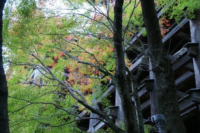さすがです。紅葉も最高です。清水寺を訪ねました_d0181492_21525367.jpg