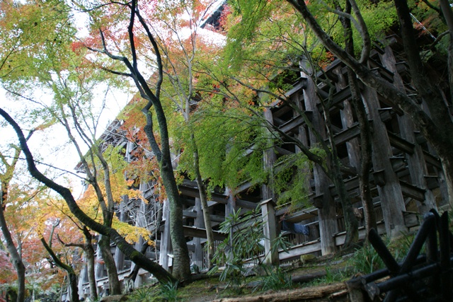 さすがです。紅葉も最高です。清水寺を訪ねました_d0181492_21531851.jpg