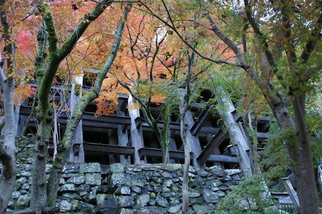 さすがです。紅葉も最高です。清水寺を訪ねました_d0181492_21535560.jpg