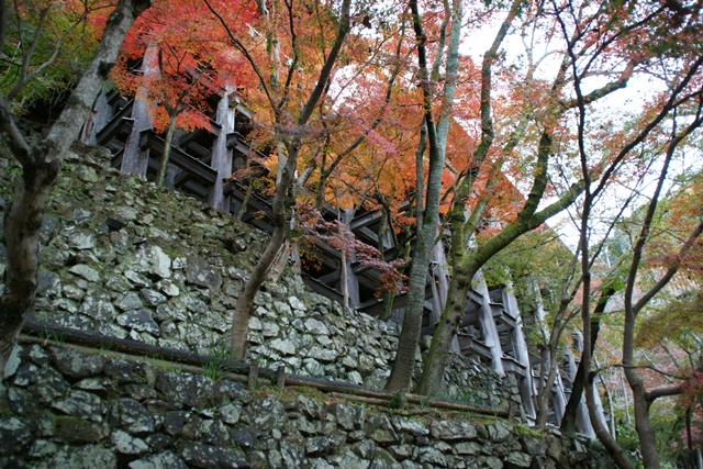 さすがです。紅葉も最高です。清水寺を訪ねました_d0181492_21543067.jpg