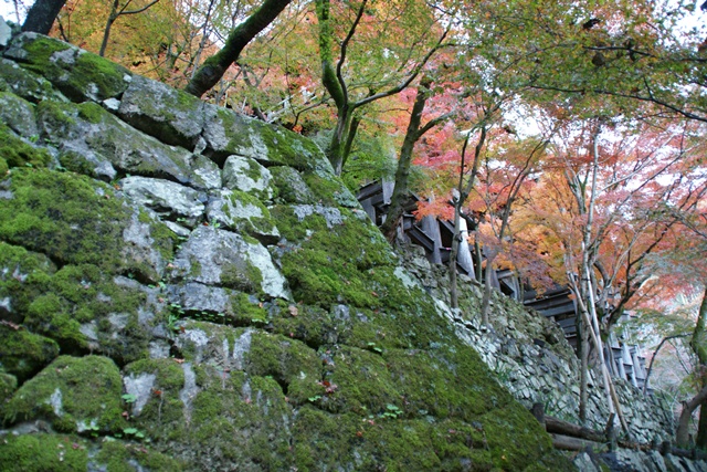 さすがです。紅葉も最高です。清水寺を訪ねました_d0181492_2155110.jpg