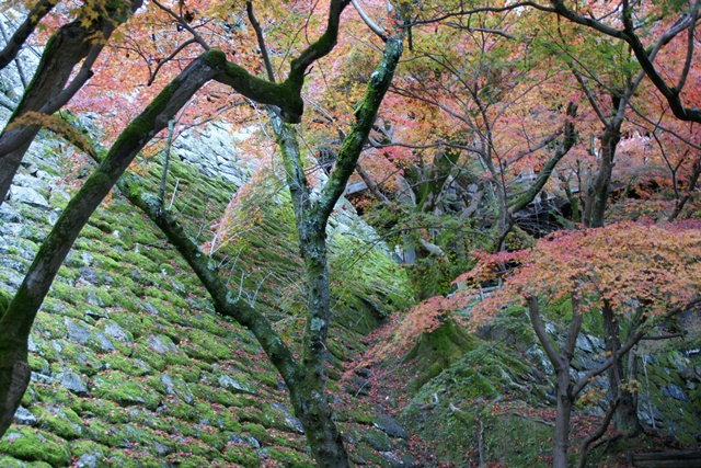 さすがです。紅葉も最高です。清水寺を訪ねました_d0181492_21551342.jpg