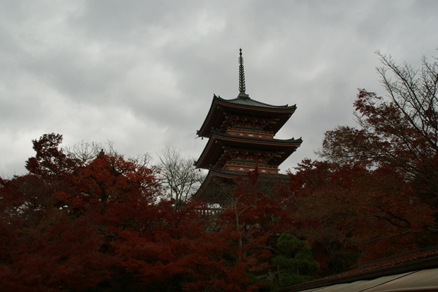 さすがです。紅葉も最高です。清水寺を訪ねました_d0181492_21552644.jpg