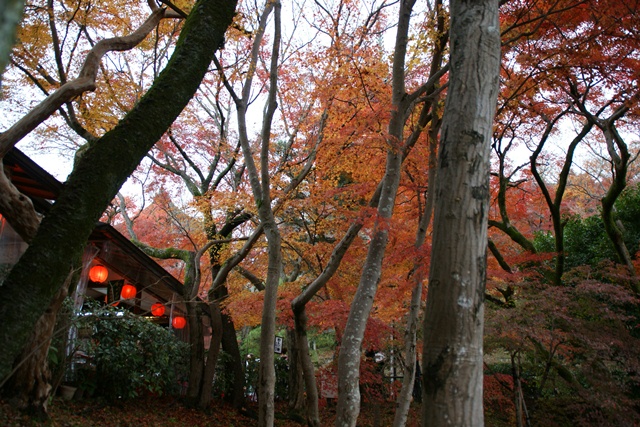 さすがです。紅葉も最高です。清水寺を訪ねました_d0181492_21555941.jpg