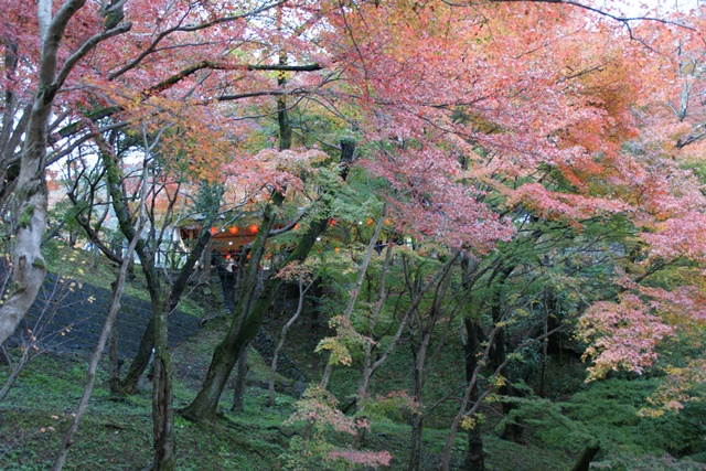 さすがです。紅葉も最高です。清水寺を訪ねました_d0181492_21563640.jpg