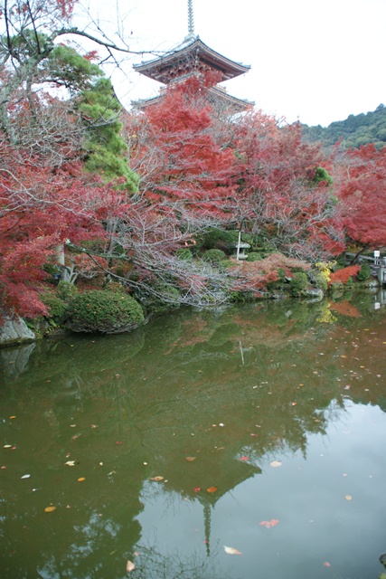 さすがです。紅葉も最高です。清水寺を訪ねました_d0181492_21564717.jpg