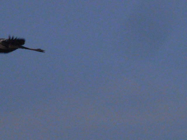 b0198195_2281374.jpg