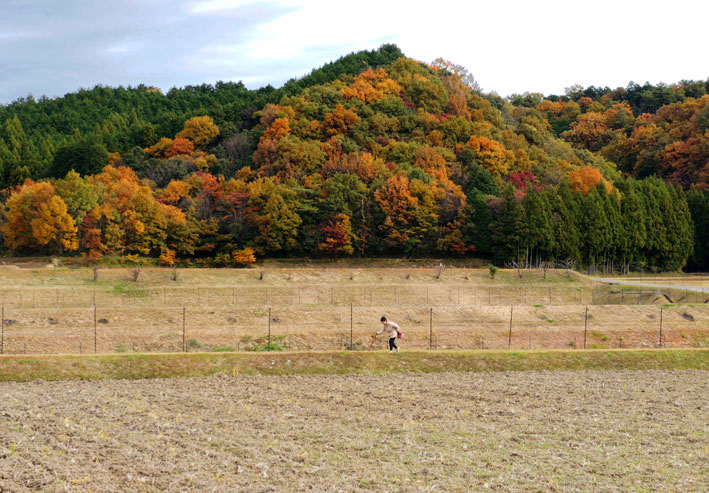 もえるような里山_b0145296_7262513.jpg