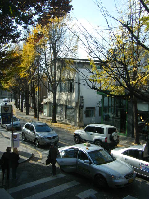 a0196698_173685.jpg