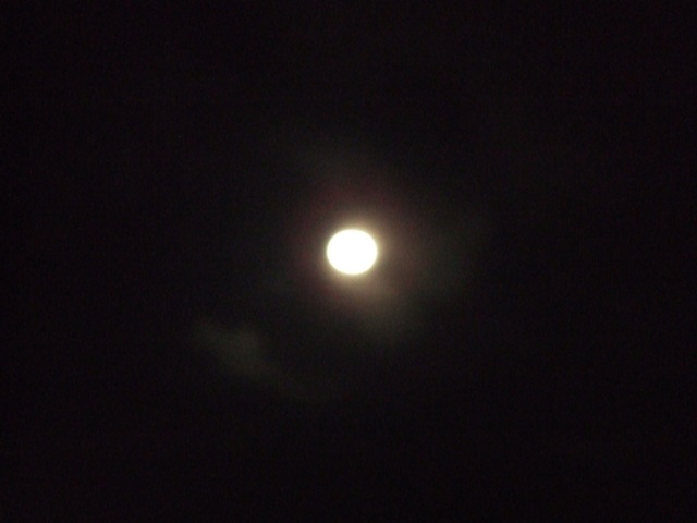 c0062603_8495761.jpg