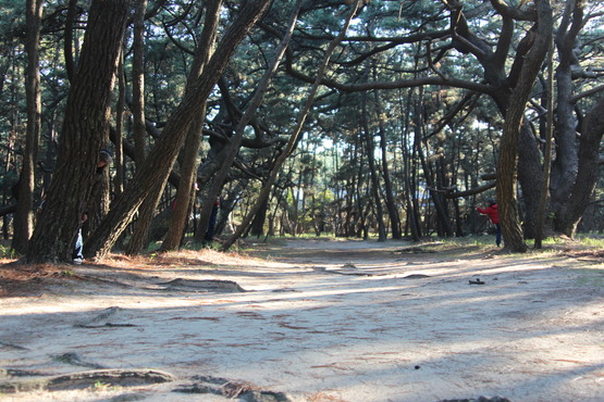 c0227403_2373279.jpg