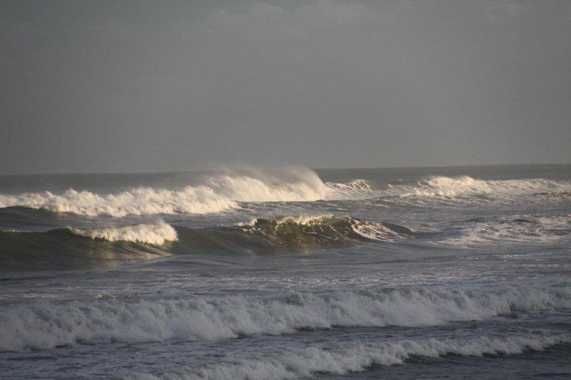 e0250807_22174443.jpg