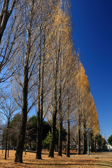 b0237408_2011012.jpg