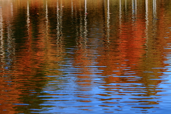b0237408_203219.jpg