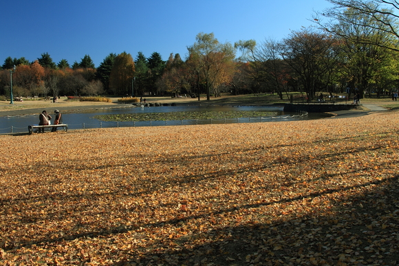 b0237408_2061233.jpg