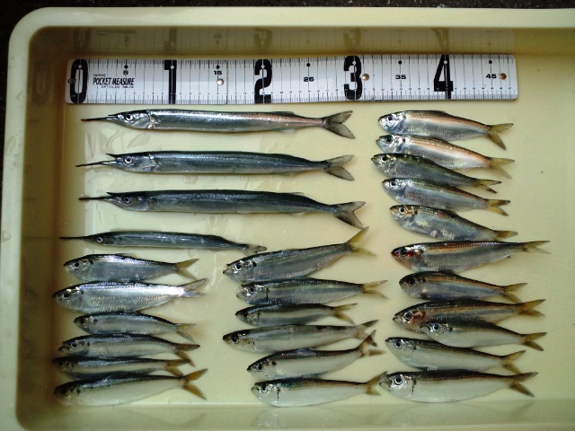 e0113508_1902560.jpg