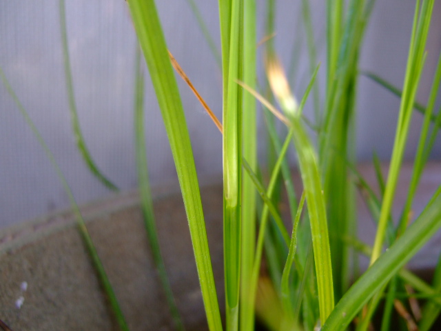 f0152308_2012566.jpg
