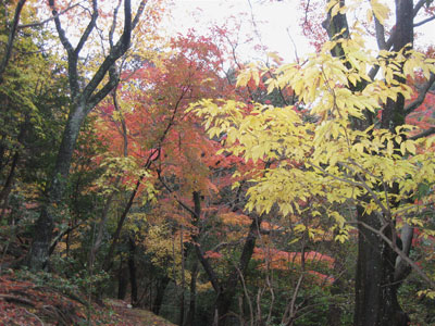 a0164011_21253875.jpg