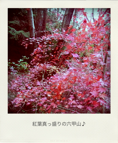 b0183911_2329531.png