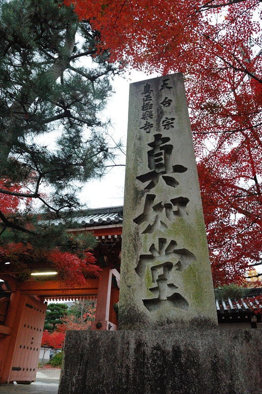 2011京都の紅葉・真如堂_f0032011_18511881.jpg