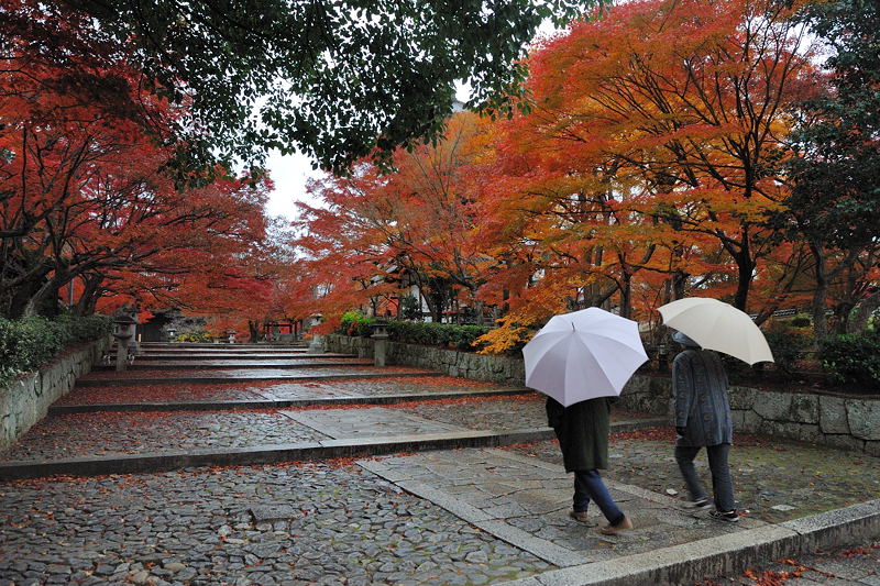 2011京都の紅葉・真如堂_f0032011_18513710.jpg