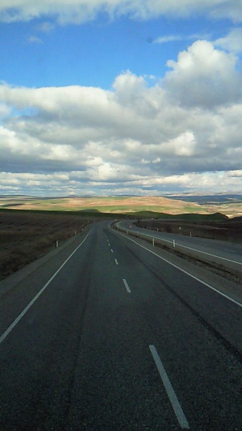 a0217512_22503354.jpg