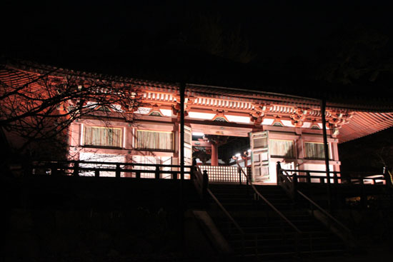 醍醐寺 ライトアップ_e0048413_2310512.jpg