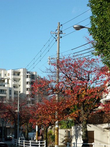 f0223914_2138151.jpg