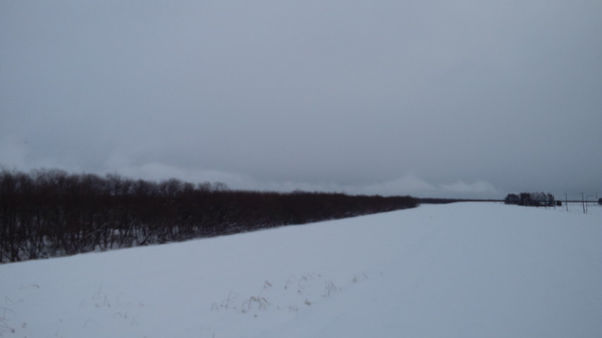 d0202215_7283612.jpg