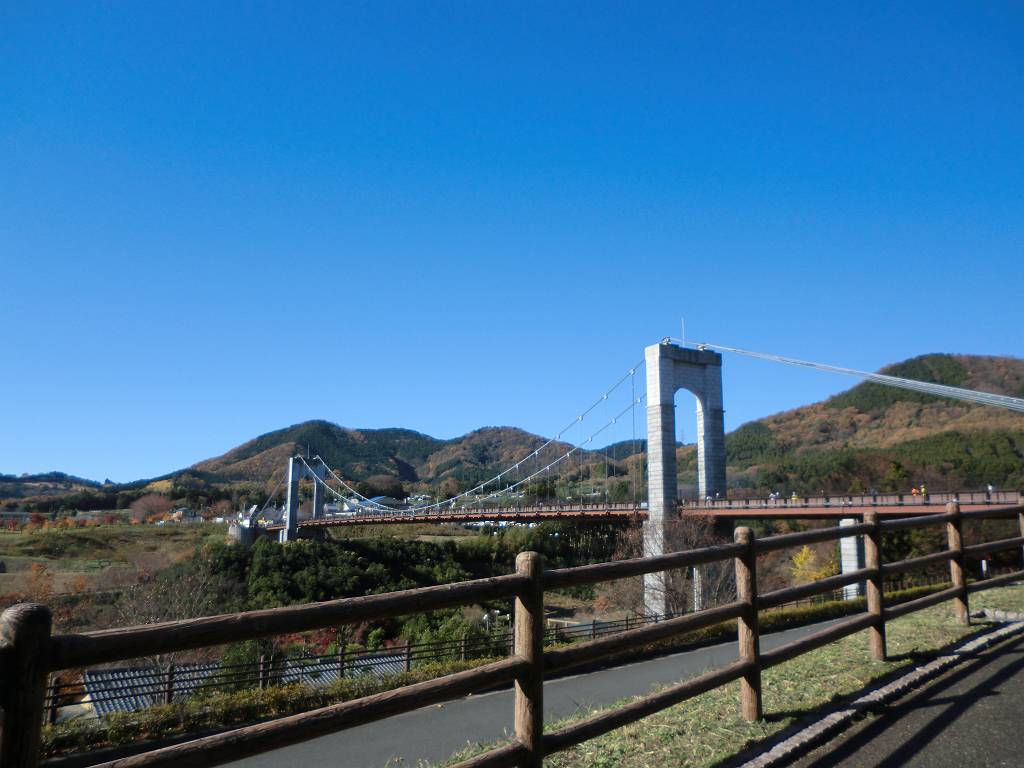 2011年12月4日 はだの水無川マラソン大会に参加_d0252115_10191370.jpg