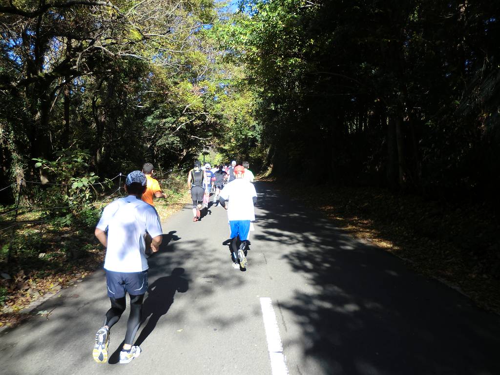 2011年12月4日 はだの水無川マラソン大会に参加_d0252115_1061454.jpg