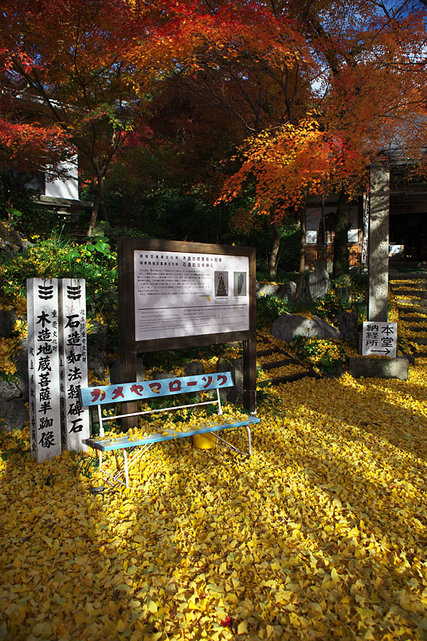 金生山明星輪寺（こくぞうさん）の紅葉　（岐阜県大垣市）_c0115616_20431096.jpg