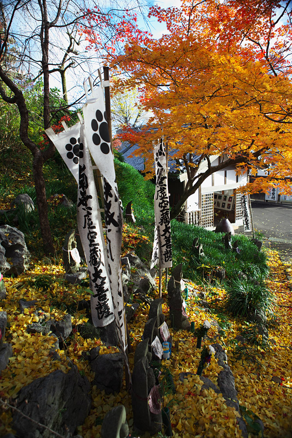 金生山明星輪寺（こくぞうさん）の紅葉　（岐阜県大垣市）_c0115616_20431480.jpg