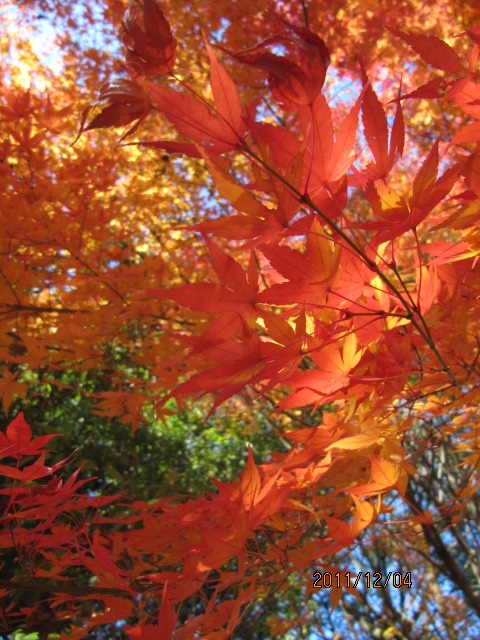 c0200916_224389.jpg