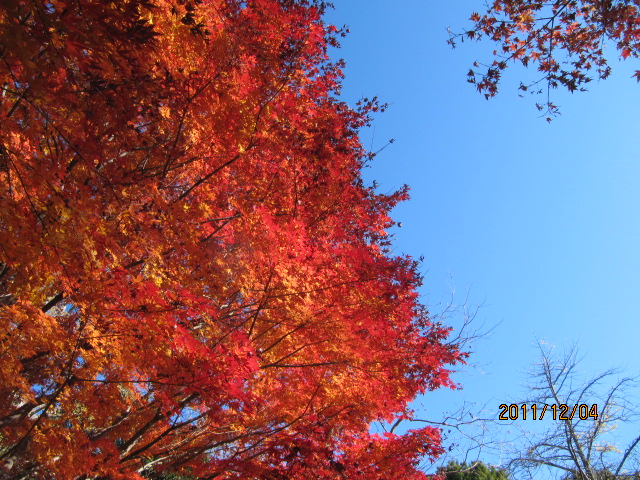 c0200916_2244540.jpg