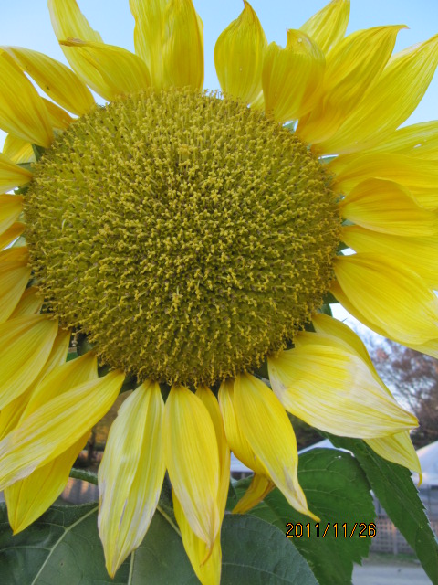 c0200916_2254252.jpg