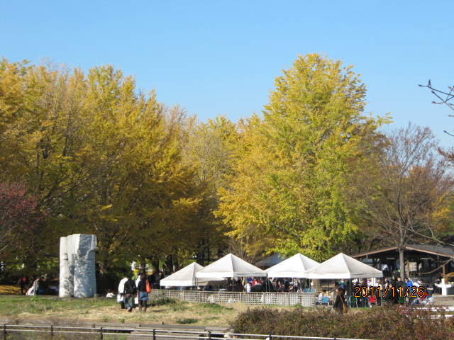 c0200916_23131535.jpg