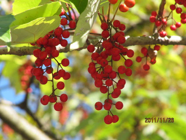c0200916_231529.jpg
