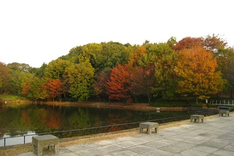 c0084117_17571360.jpg