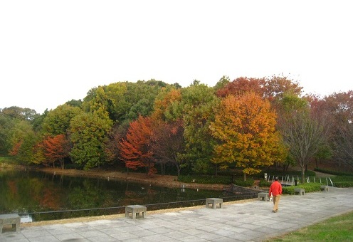 c0084117_18122769.jpg