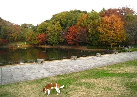 c0084117_1852116.jpg