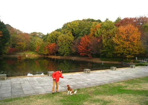 c0084117_185258.jpg